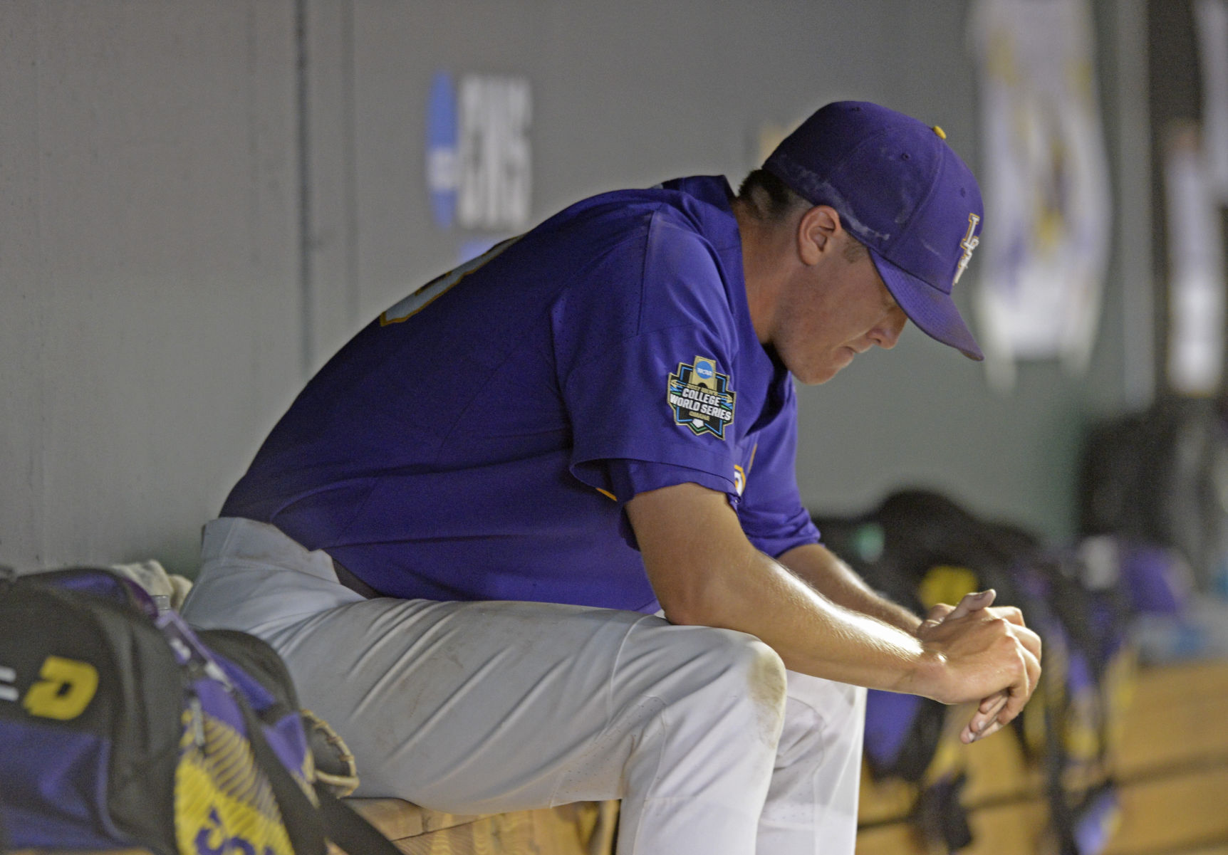 BR.lsuflorida.062817 HS 2709.JPG